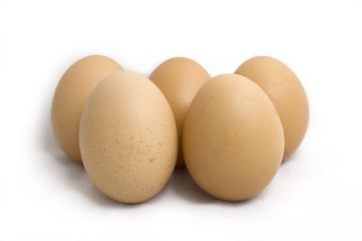 Five eggs on white background.