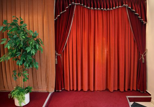 Red curtain inside the hall and flower pot