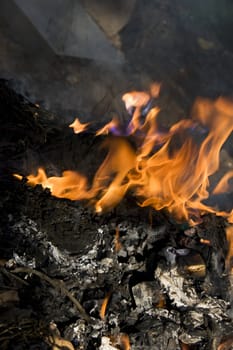 Burning rubbish. Fire part can crop and use as background on design.