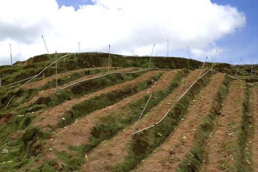 Landscape of a highland vegetable farm terrace at Cameron Highlands, Malaysia. This terrace is now barren after harvesting of vegetables.