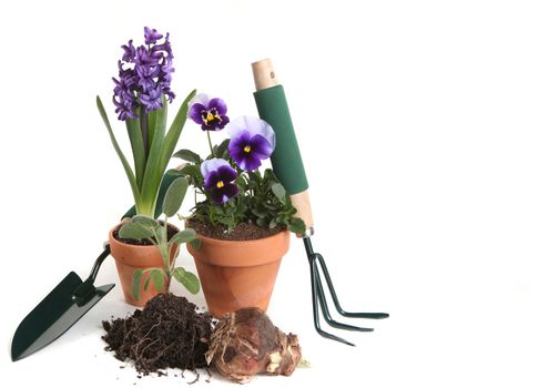 Garden Supplies of Pansies, Hyacinth, Sage and Planting Tools