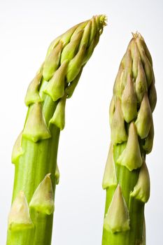 detail of fresh green asparagus isolated on white background