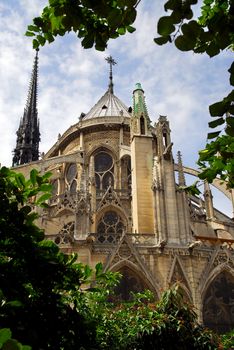 Notre Dame de Paris cathedral - garden view with green trees