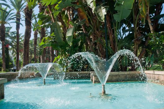 Image of  fountain surrounded by palm trees.