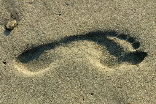 Footprint in sand in Puerto Escondido, Mexico