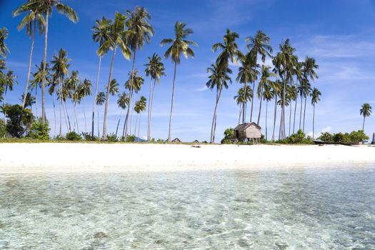 Image of a remote Malaysian tropical island with deep blue skies, crystal clear waters, atap huts and coconut trees.