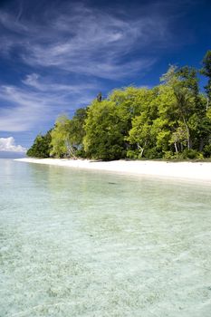 Image of a remote Malaysian tropical island with deep blue skies, crystal clear waters and greenery.