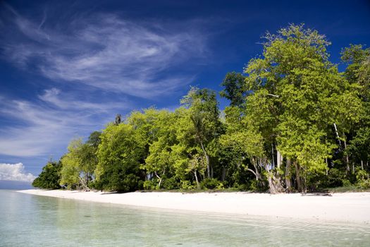 Image of a remote Malaysian tropical island with deep blue skies, crystal clear waters and greenery.