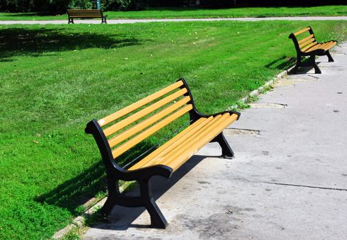 Wooden benches in park with green grass