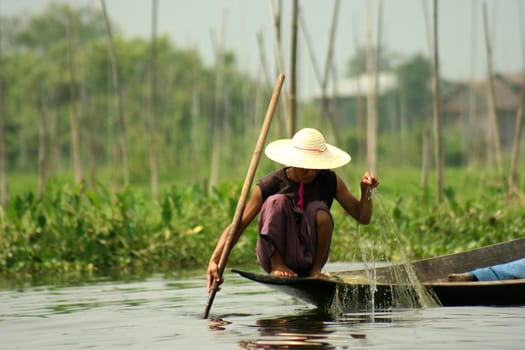 Myanmar people working in Inle Lake.