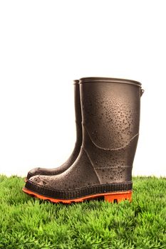 Pair of black rubber boots on green grass