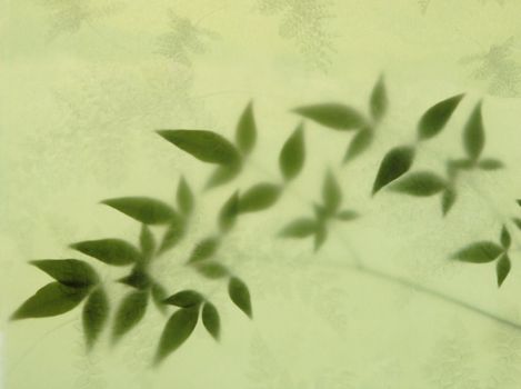 nandina (heavenly bamboo) leaves partially obscured by textured paper imprinted with a fern motif