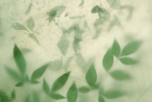textured paper partially obscures heavenly bamboo leaves over handmade paper with torn leaves embedded