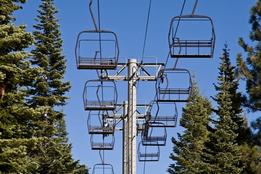 Idle lift chairs between row of evergreen trees