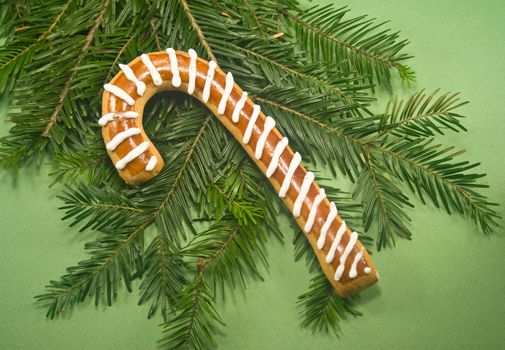 Candy cane cookie with fir branch isolated on green paper