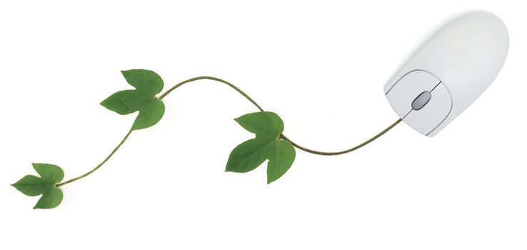 A three-button computer mouse with a green vine as its cord symbolizing concepts from convergence of digital and green technologies to using an online gardening forum. Image is isolated on white with clipping path. 