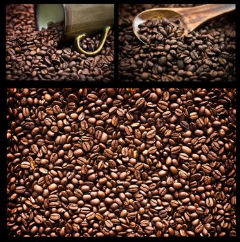 Collage of various photos of coffee beans.