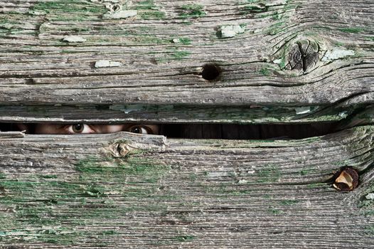 Male person hide behind a wooden wall