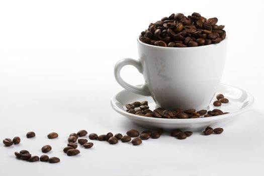 one coffee cup filled with coffee beans on white background