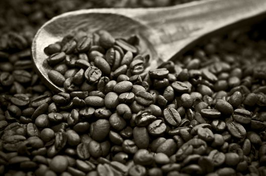 Full frame of coffee beans in sepia tones.
