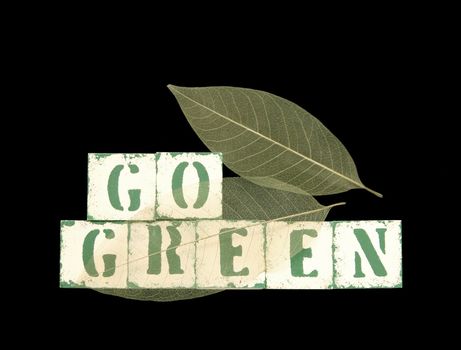 the words 'go green' in old stenciled block letters with skeletonized leaves on a black background