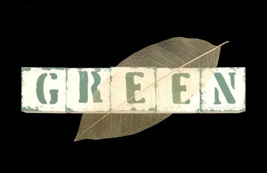 the word 'green' in block letters with a skeletonized leaf on top isolated on black