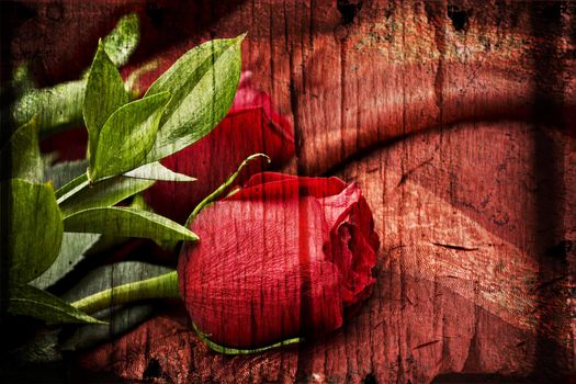 An illustration of beautiful red roses against a red background