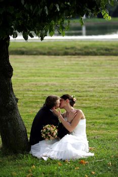 Newlywed couple in love kissing under tree on field in summer.