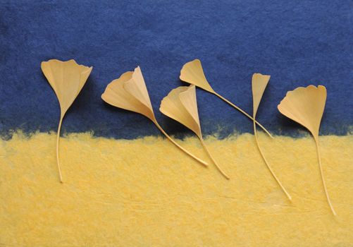 yellow ginkgo leaves on textured handmade paper