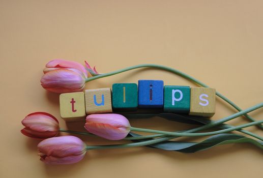 fresh coral-colored tulips with the word 'tulips' in block letters
