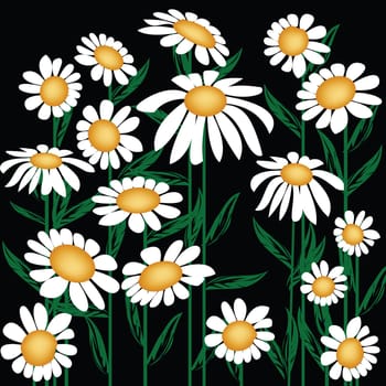 Daisies background