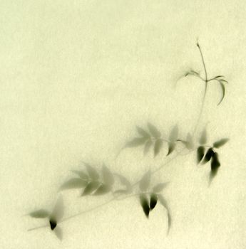 a jasmine vine with textured paper useful for a background