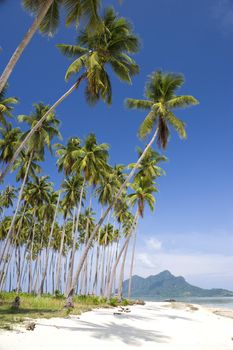 Image of remote Malaysian tropical islands with deep blue skies, crystal clear waters and coconut trees.