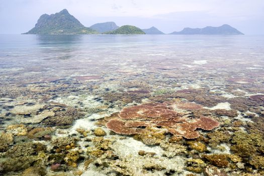 Image of remote Malaysian tropical islands with deep blue skies, crystal clear waters and a coral reef in the foreground.