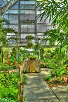  walkway through a greenhouse in HDR.