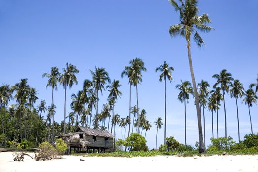 Image of a native hut on a tropical island in Malaysia.