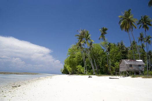 Image of a remote Malaysian tropical island with deep blue skies, white sand, an atap hiut and coconut trees.