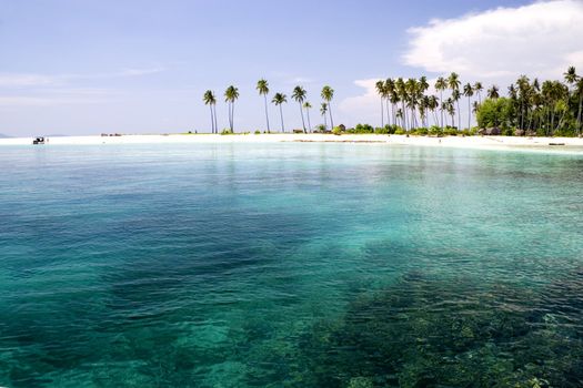 Image of a remote Malaysian tropical island with deep blue skies, crystal clear waters and coconut trees.