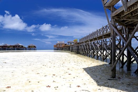 Image of a walkway and huts on stilts on a remote Malaysian tropical island with deep blue skies at low tide. Plenty of starfish stranded on the beach in the foreground.