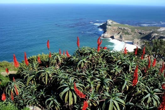South African Coast - Cape of Good Hope