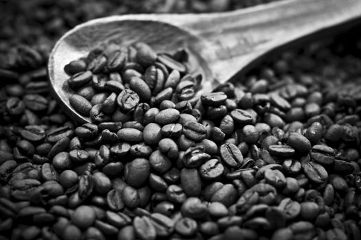 Full frame of coffee beans in black and white.
