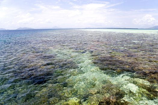 Image of shallow open sea with corals in Malaysian waters.