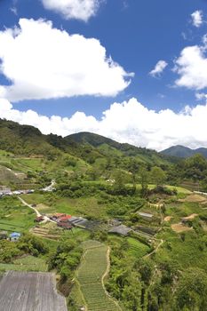 Image of rural scenery in Malaysia.