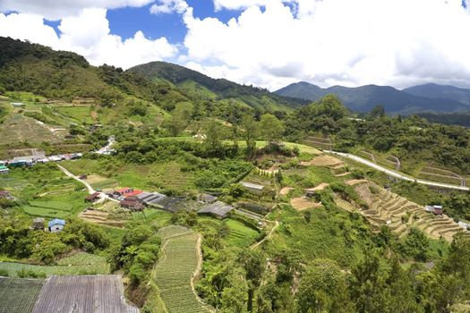 Image of rural scenery in Malaysia.