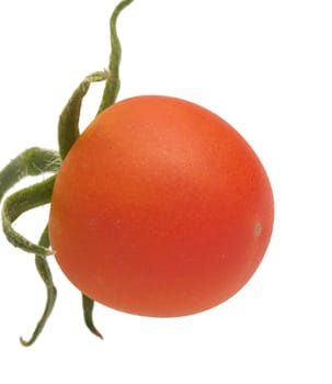 Red tomato close up it is isolated on a white background.