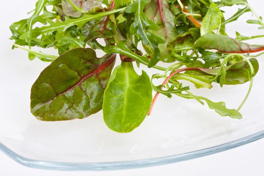 closeup of salad leaves on a glassy plate