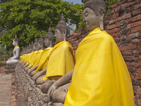 Row of Buddhas' at the Unesco World Heritage site of Ayuthaya in Thailand.