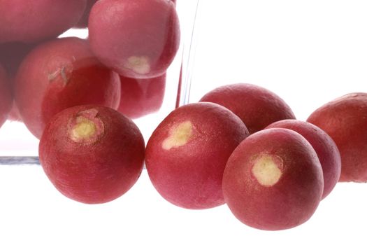 Isolated macro image of red radish.