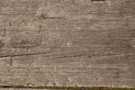 Old wood wall texture background.