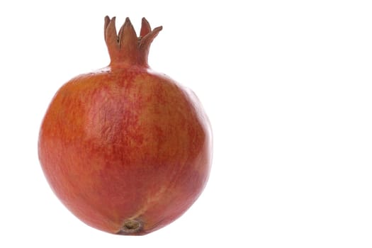 Isolated macro image of a Pomegranate.